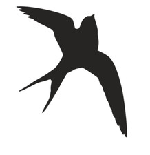 Vogel Aufkleber Wintergarten