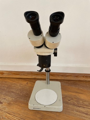 Stereolupe binokular