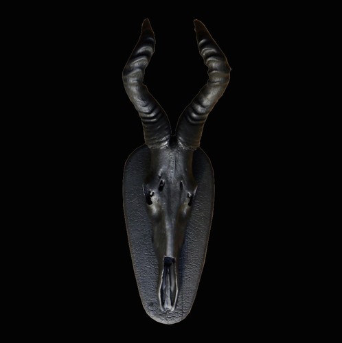 Antilope afrika deko - afrika,