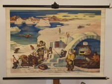 Eskimo Iglu Inuit Narwal Eisbär Husky Polar~1954 Schulwandbild Wandbild 100x71cm