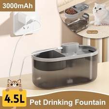 Katzen futterstation hunde - katzen,