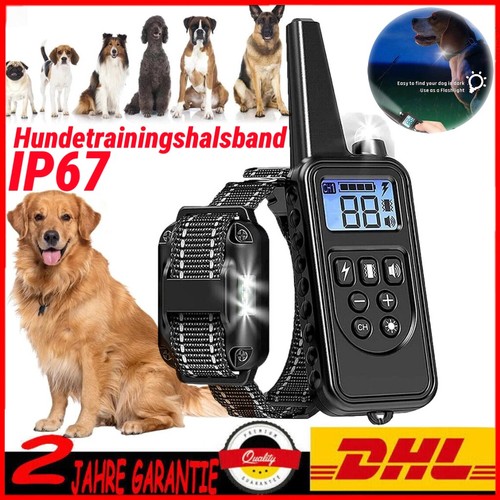 1000m hund ausbildung - 1000m,