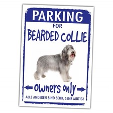 Bearded Collie Beardie Parking