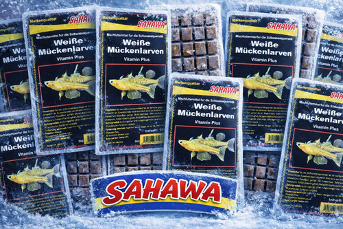 Frostfutter aquarium weiße - aquarium,