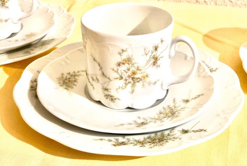 Rosenthal classic rose - rosenthal,,