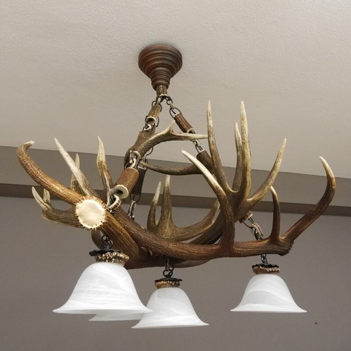 Geweihlampe rothirsch stangen - geweihlampe,