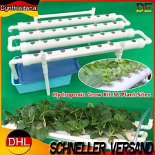 Hydrokultur Hydroponik