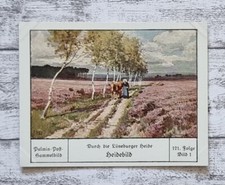 Heidebild Lüneburger Heide