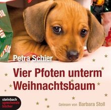 Vier pfoten unterm - vier,