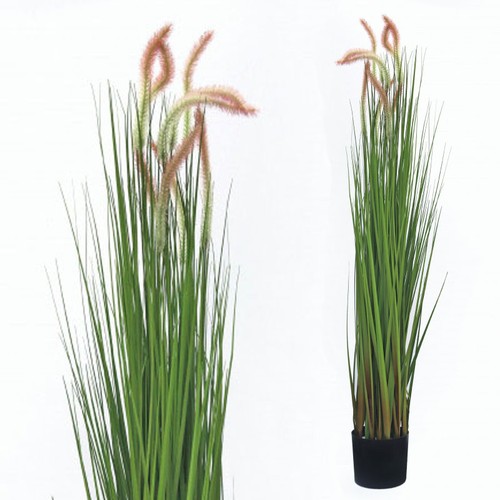 Japanisches wiesengras 120 - 120, cm
