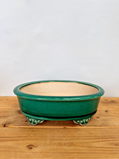 Bonsaischale S 502 grün oval Topf Bonsai Schale glasiert