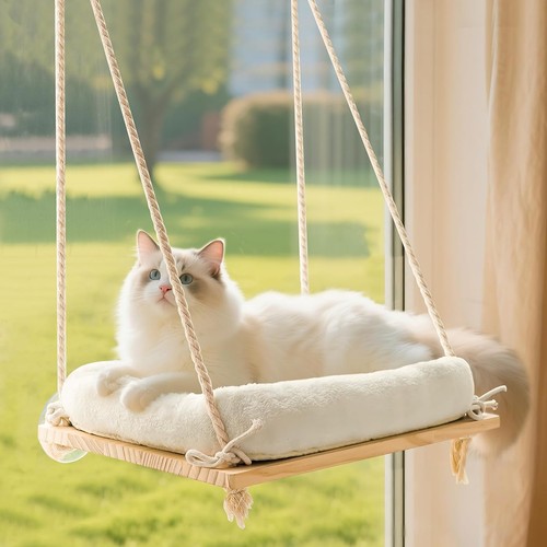 Katzen fensterliege fenster - katzen,