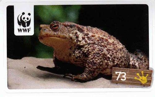 Rewe wwf tier abenteuer - rewe,