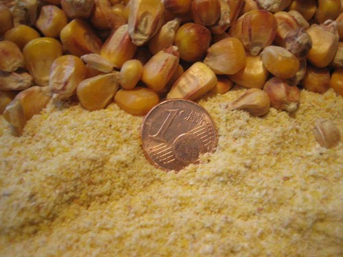 Eur kg maismehl fein - eur,
