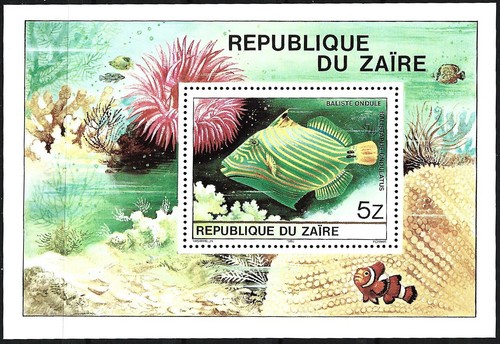 Zaire tropische fische block - -,