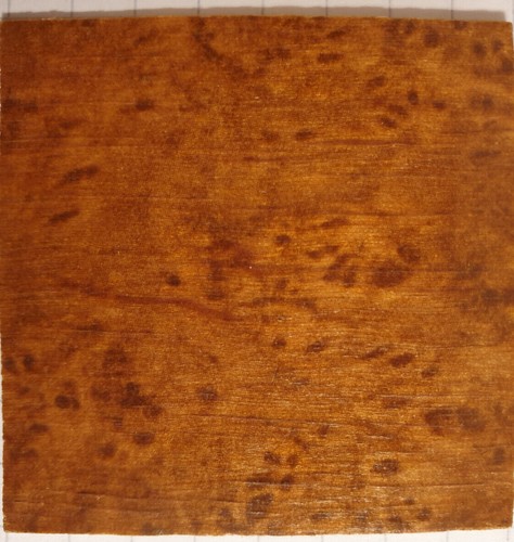 Garbáty holzbild tarso - holzbild,