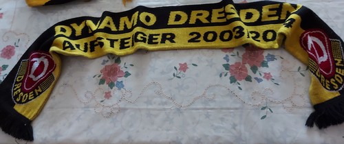 Dynamo dresden fan - dynamo,