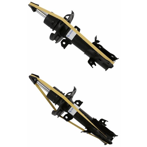 Sachs gasdruck - 2x,