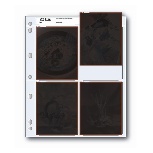 25x print file 4x5 negative - 25x,