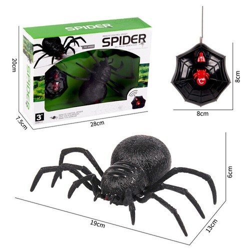Ferngesteuerte spinne - ferngesteuerte,