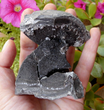 Herkimer Quarz s/ Septaria Drôme 8x7cm Mineralien Stein Sammlung Lithotherapie