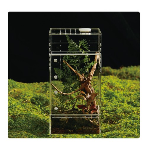 Acrylic terrarium for reptiles - terrarium,