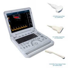 Tragbarer Ultraschallscanner
