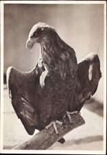 E 1017 Ostpreussen Vogelwarte