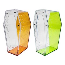 Springspinnen-Terrarium für