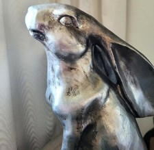 Prachtbursche großer hase - prachtbursche!,