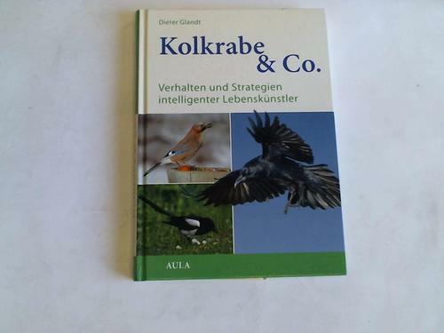 Kolkrabe verhalten und - kolkrabe, &