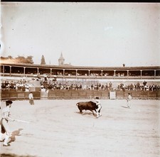 Corrida Torero Spanien 1909