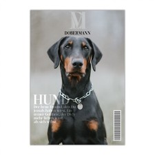 Dobermann Schild Dog Hund Magazin Spruch Türschild Hundeschild Wall Art Gefährte