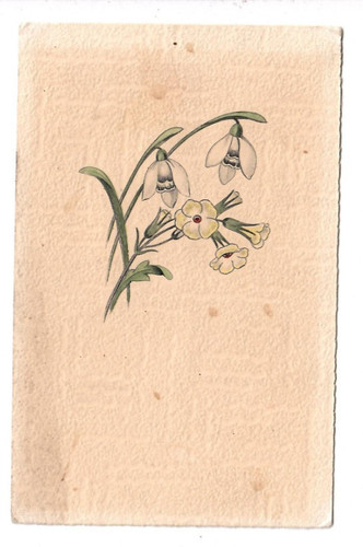 7015 schneeglöckchen 1942 - 7015-,