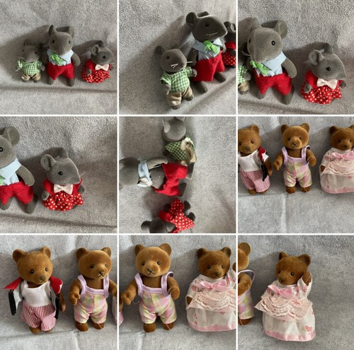 Simba forest families - simba,