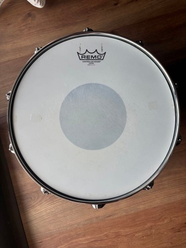 Ludwig black beauty - beauty, lb417