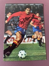 CARLOS ALONSO SANTILLANA