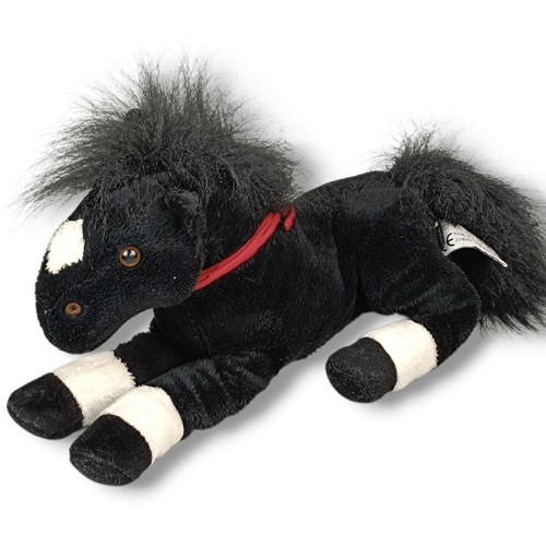 Tcm pferd pony trudi trab - pferd,
