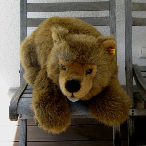 Steiff 075698 braunbär urs - steiff,