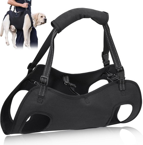 Tragehilfe hund groß hunde - hund, groß,