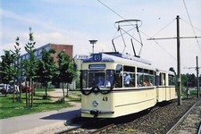 Dia - Fotoabzug 10x15 -