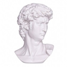 Head of Michelangelo's David