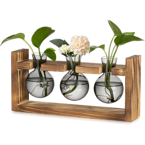 Mini glas terrarium vase holz - terrarium,