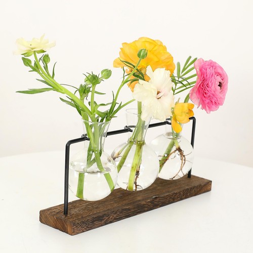 Kreative transparente vase - kreative,