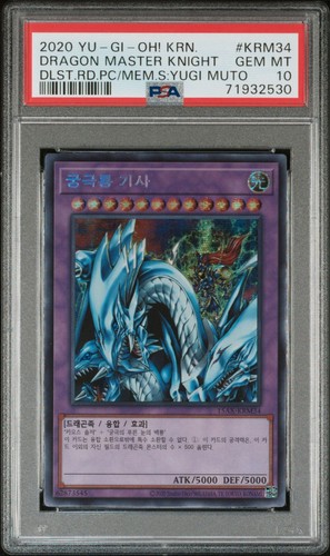 2020 dragon master - dragon,