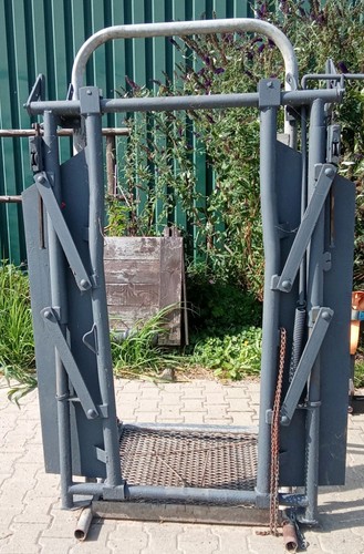 Rinder fanganlage - rinder,