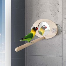 Papageienspiegel mit