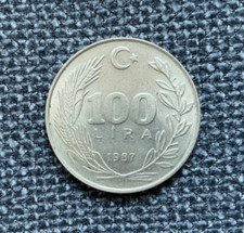 100 Lira 1987 Türkei KM# 967