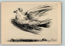 13701905 - Picasso Zweiter Weltkongress der Kaenpfer fuer den Frieden Taube