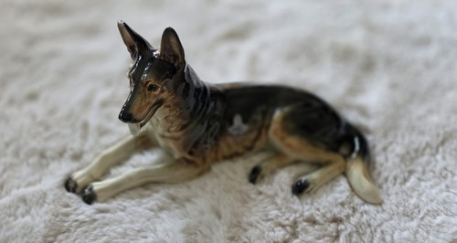 Alter hund von cortendorf - alter,